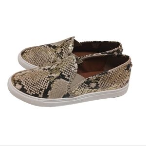 Steve Madden Snake Print Sneakers - Tan and Black